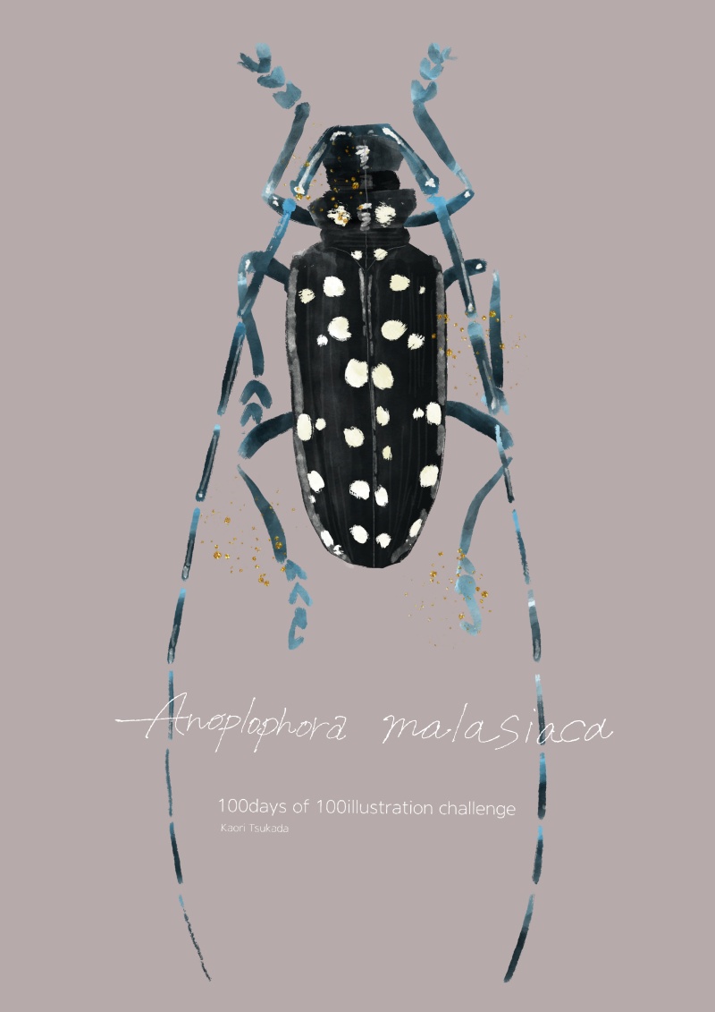 anoplophoramalasiaca